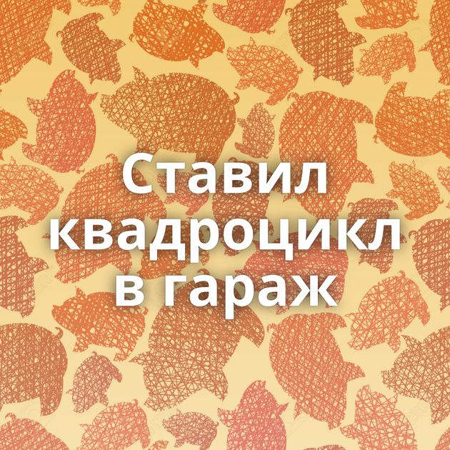 Ставил квадроцикл в гараж