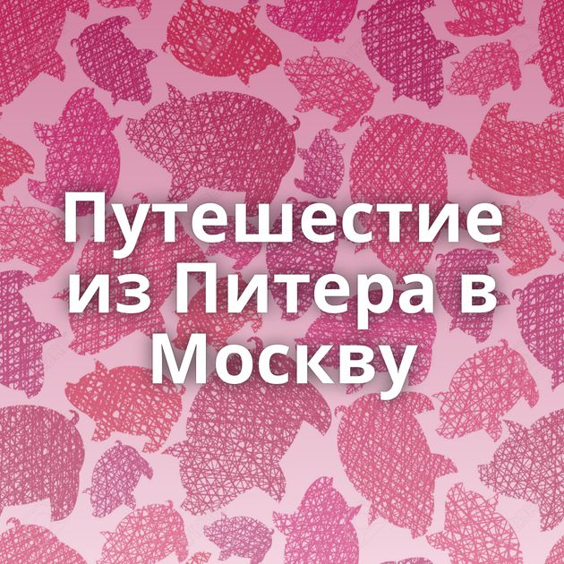 Путешестие из Питера в Москву