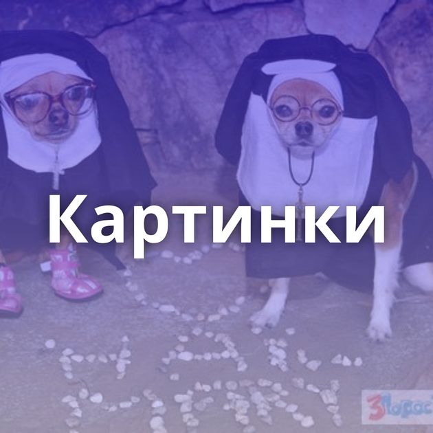 Картинки