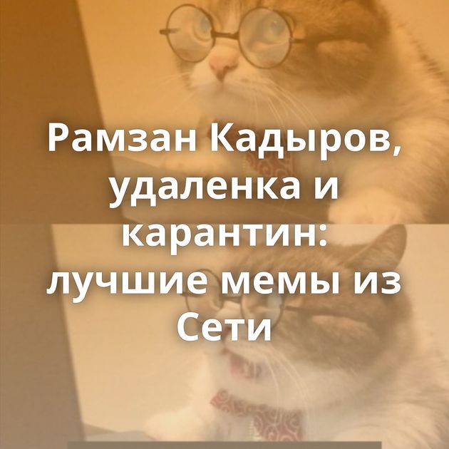 Рамзан Кадыров, удаленка и карантин: лучшие мемы из Сети