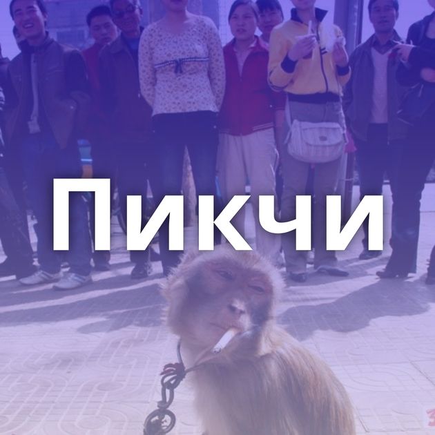 Пикчи