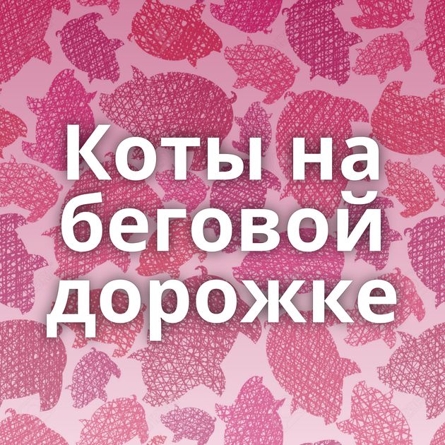 Коты на беговой дорожке