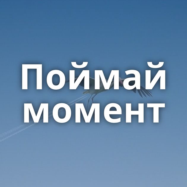 Поймай момент
