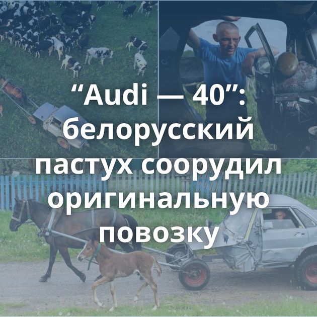 “Audi — 40”: белорусский пастух соорудил оригинальную повозку