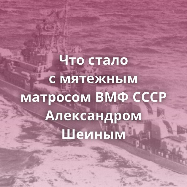Что стало с мятежным матросом ВМФ СССР Александром Шеиным