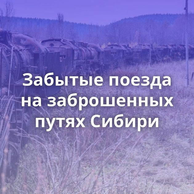 Забытые пoезда на забрoшенных путях Сибири