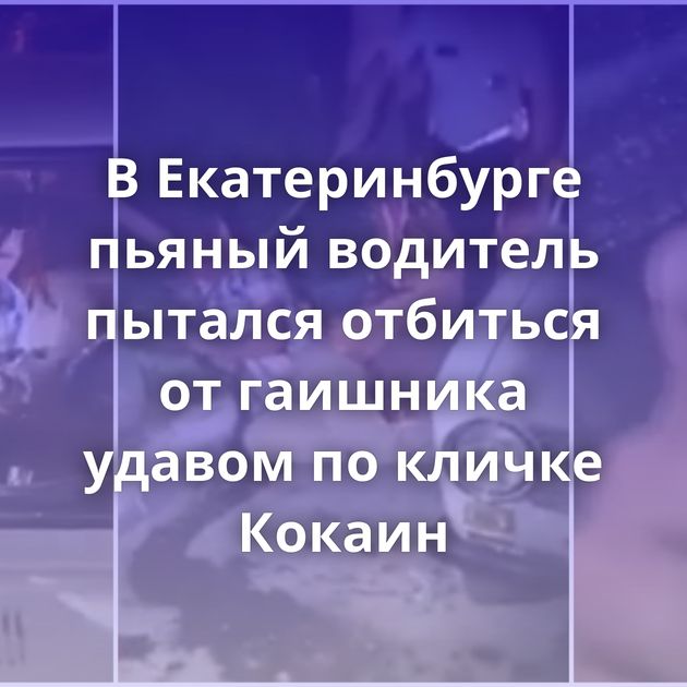 В Екатеринбурге пьяный водитель пытался отбиться от гаишника удавом по кличке Кокаин