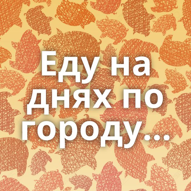 Еду на днях по городу...