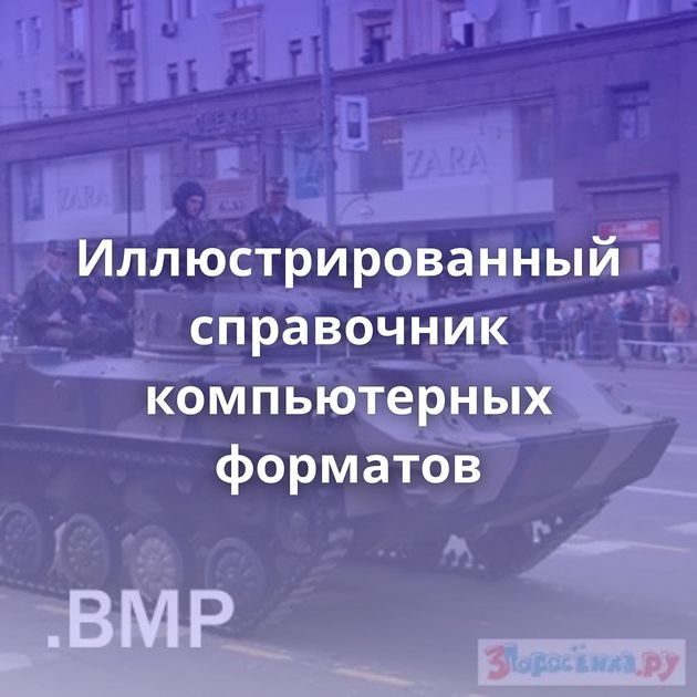 Иллюстрированный справочник компьютерных форматов