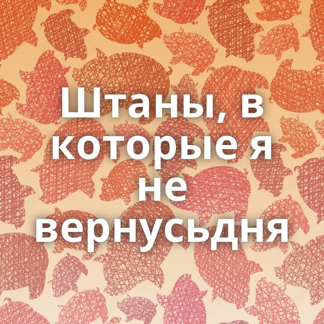 Штаны, в которые я не вернусьдня