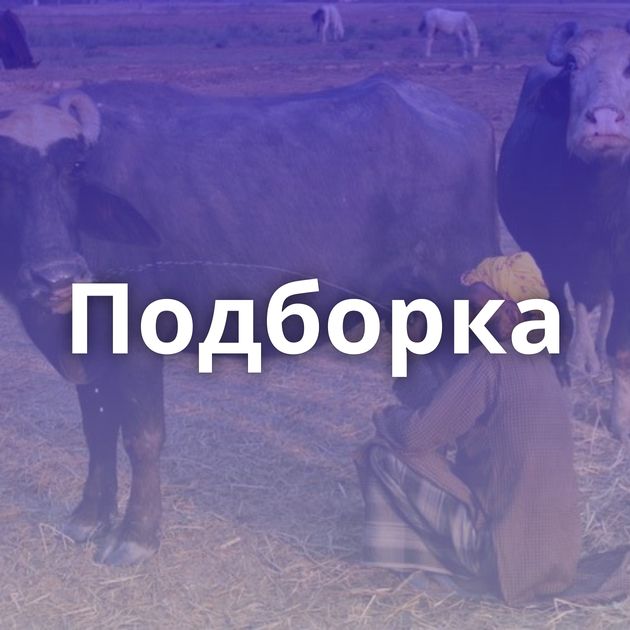 Подборка