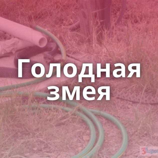 Голодная змея