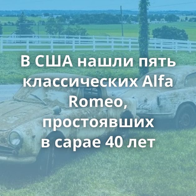 В США нашли пять классических Alfa Romeo, простоявших в сарае 40 лет