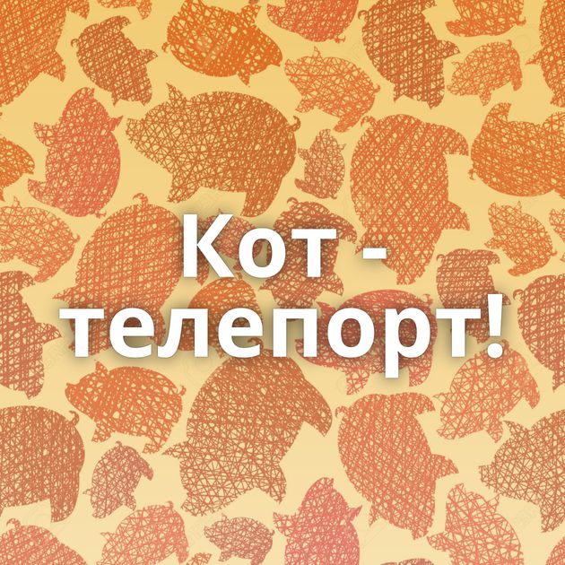 Кот - телепорт!