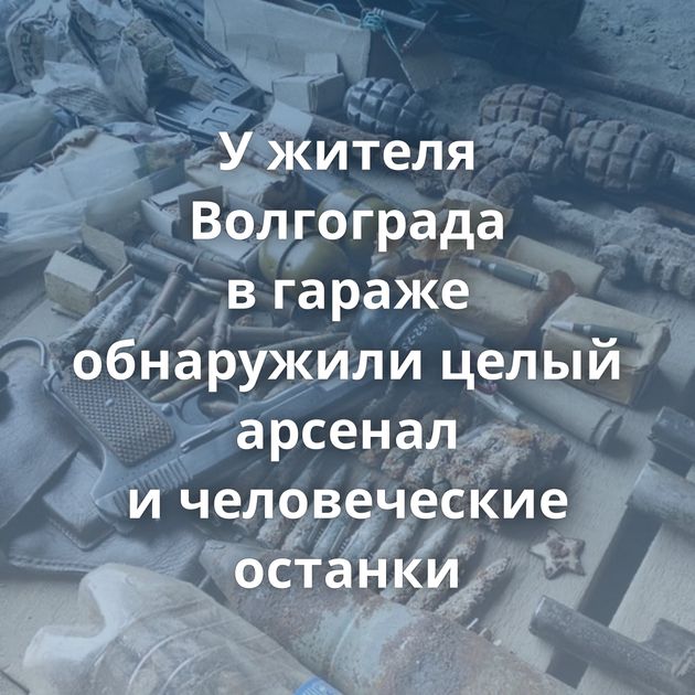 У жителя Волгограда в гараже обнаружили целый арсенал и человеческие останки