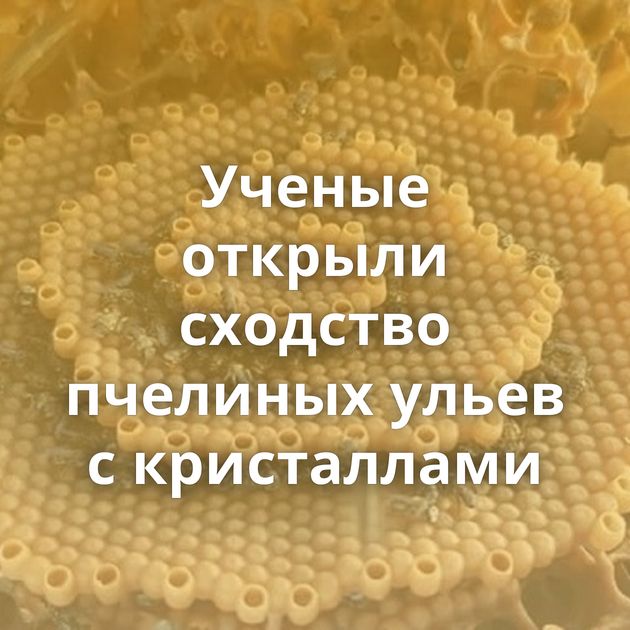 Ученые открыли сходство пчелиных ульев с кристаллами