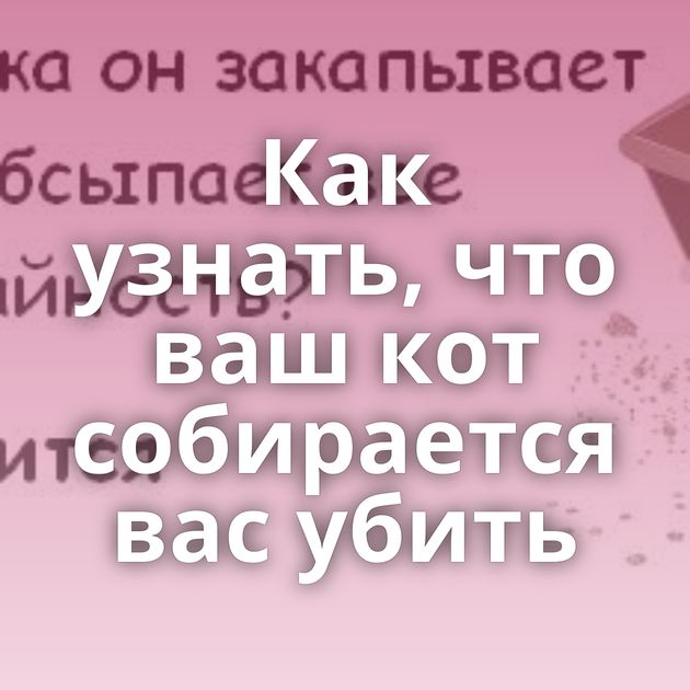 Как узнать, что ваш кот собирается вас убить