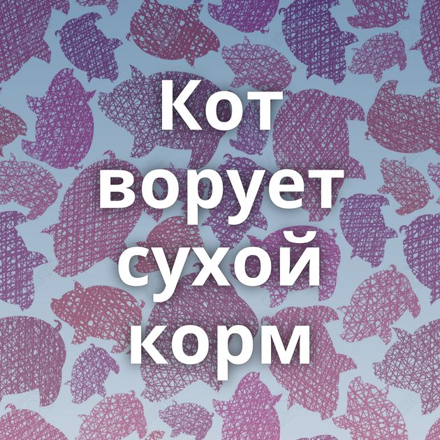 Кот ворует сухой корм