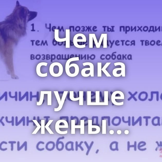 Чем собака лучше жены...