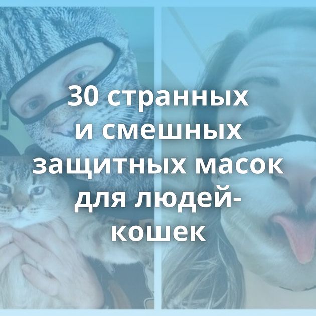 30 странных и смешных защитных масок для людей-кошек