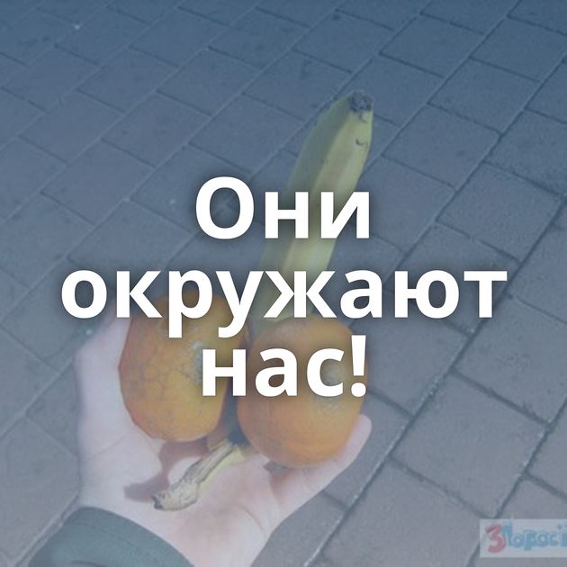 Они окружают нас!