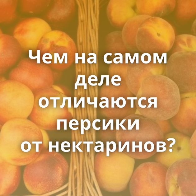 Чем на самом деле отличаются персики от нектаринов?