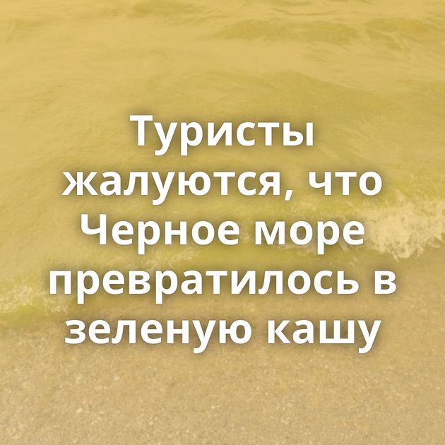 Туристы жалуются, что Черное море превратилось в зеленую кашу