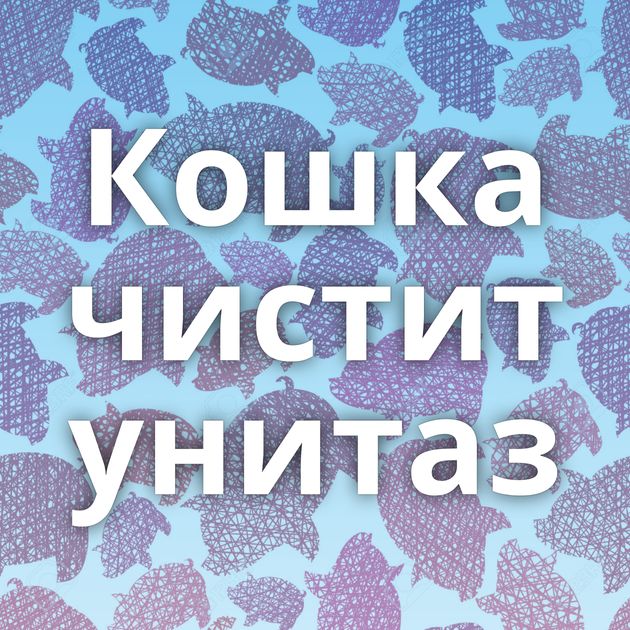 Кошка чистит унитаз