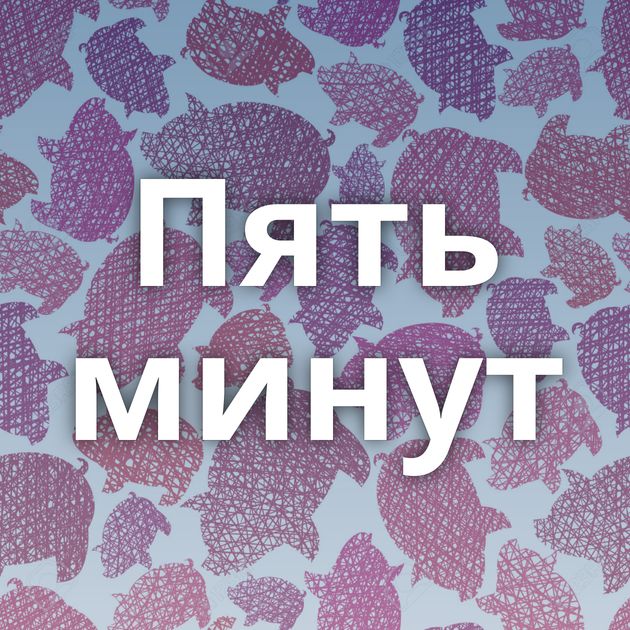 Пять минут