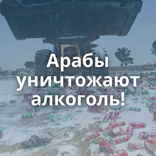 Арабы уничтожают алкоголь!