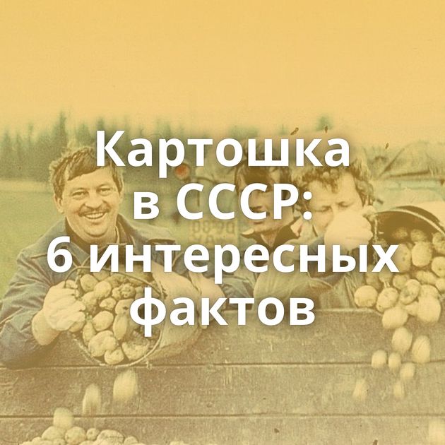 Картошка в СССР: 6 интересных фактов
