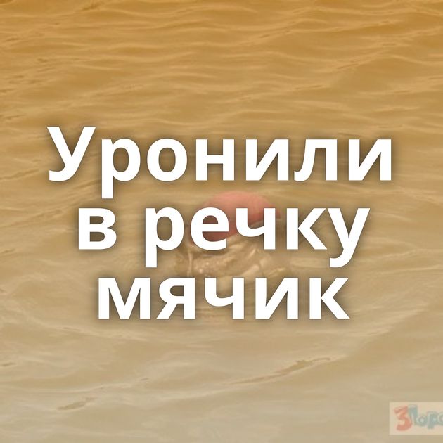 Уронили в речку мячик