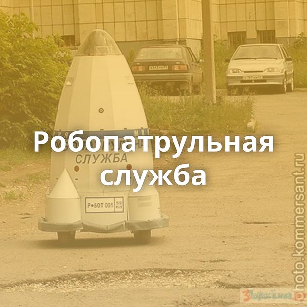 Робопатрульная служба