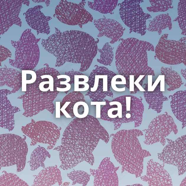 Развлеки кота!