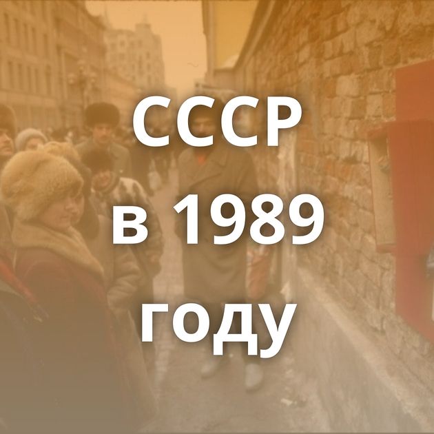 СССР в 1989 году
