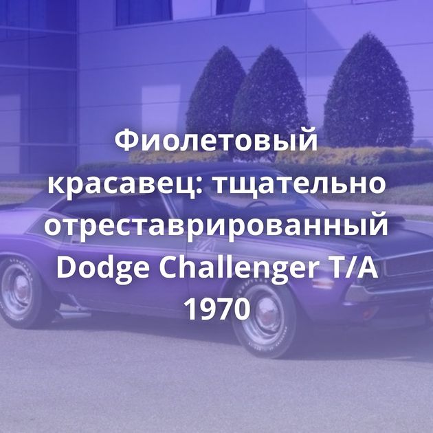 Фиолетовый красавец: тщательно отреставрированный Dodge Challenger T/A 1970