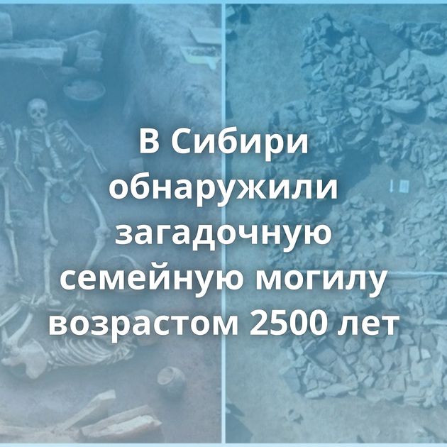 В Сибири обнаружили загадочную семейную могилу возрастом 2500 лет