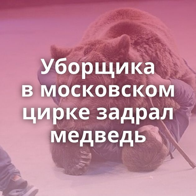 Уборщика в московском цирке задрал медведь