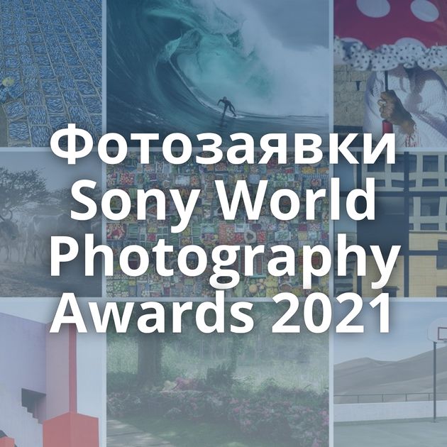 Фотозаявки Sony World Photography Awards 2021