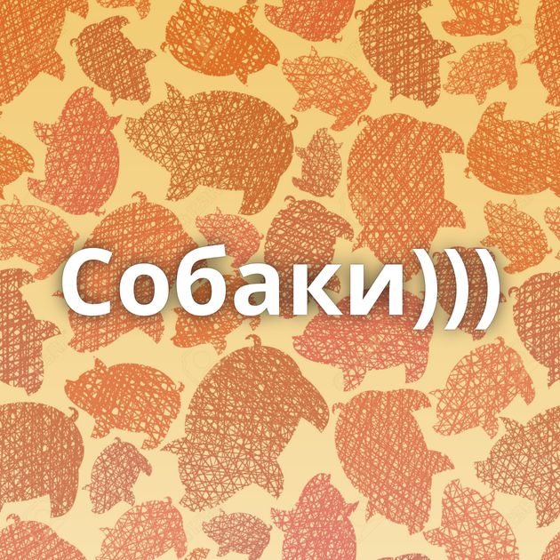 Собаки)))