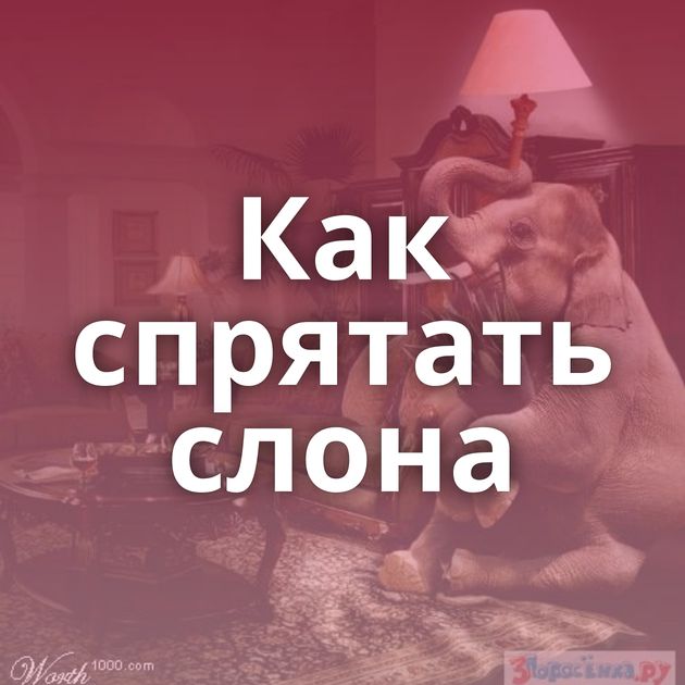 Как спрятать слона