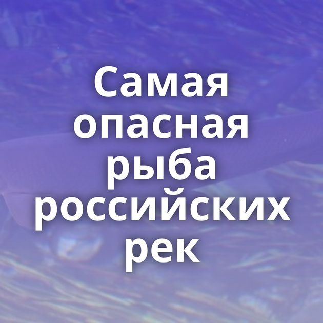 Самая опасная рыба российских рек