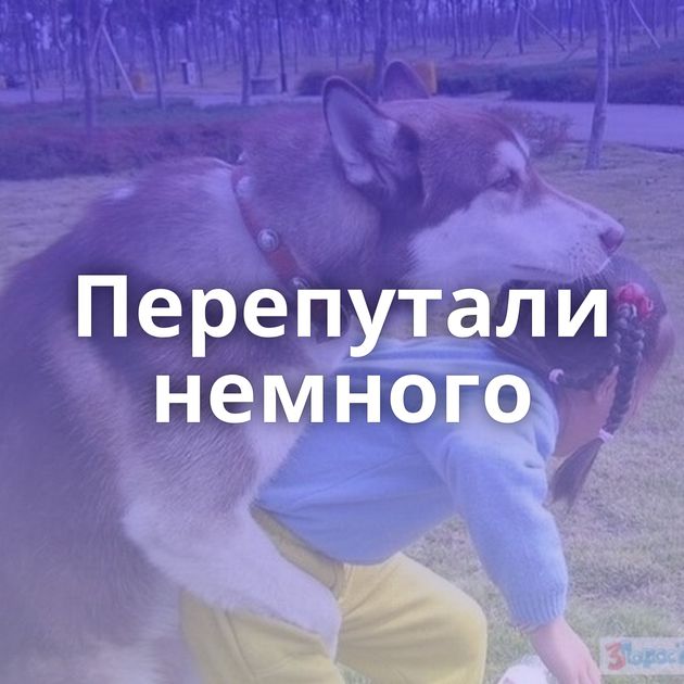 Перепутали немного