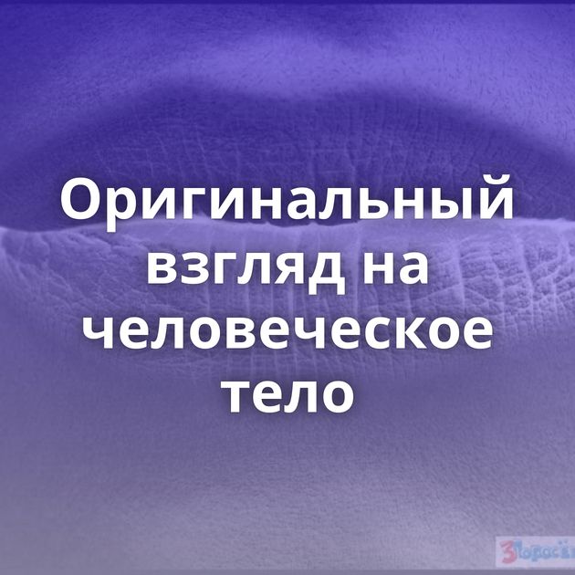 Оригинальный взгляд на человеческое тело
