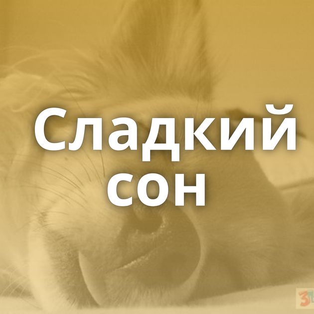 Сладкий сон