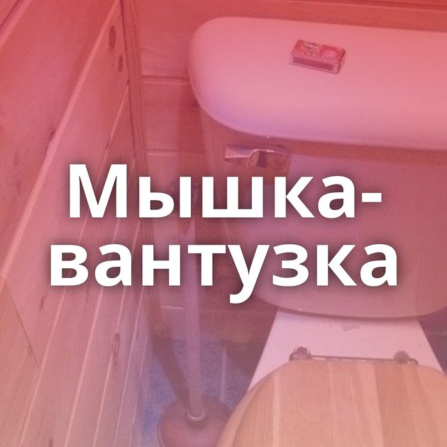 Мышка-вантузка