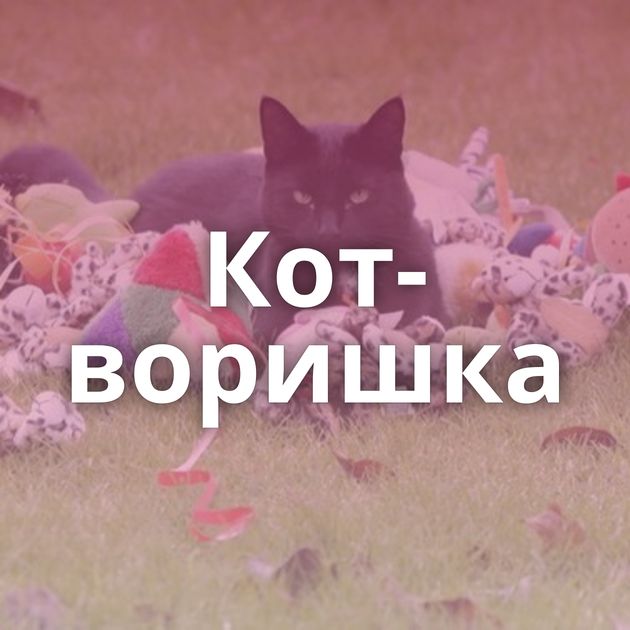 Кот-воришка