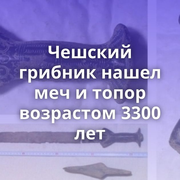 Чешский грибник нашел меч и топор возрастом 3300 лет