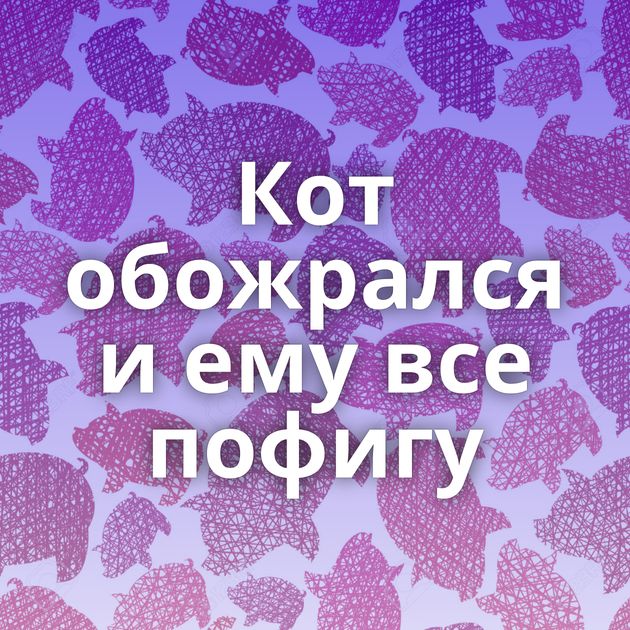 Кот обожрался и ему все пофигу