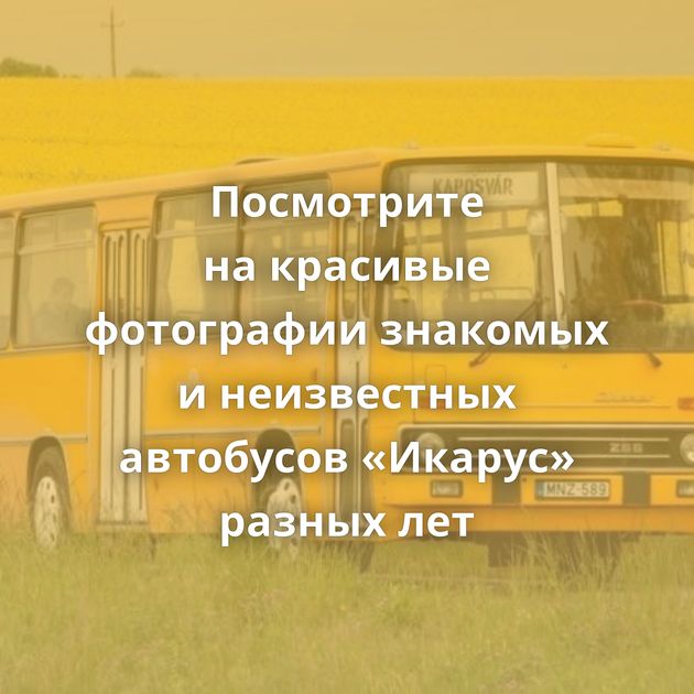 Посмотрите на красивые фотографии знакомых и неизвестных автобусов «Икарус» разных лет